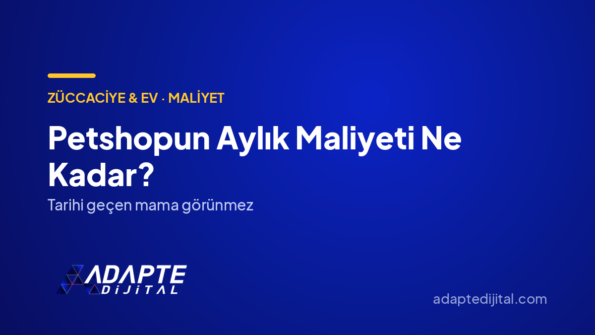 Petshopun Aylık Maliyeti Ne Kadar? — Adapte Dijital kapak görseli