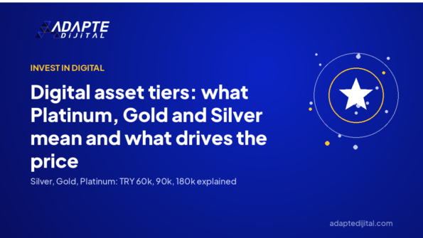 Digital asset tiers: what Platinum, Gold and Silver mean and what drives the price — Adapte Dijital cover image