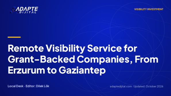 Remote Visibility Service for Grant-Backed Companies, From Erzurum to Gaziantep