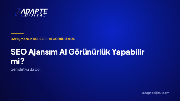 AI Görünürlük İşini Mevcut SEO Ajansım Yapabilir mi, Ayrı AI SEO Uzmanı mı Gerekir?