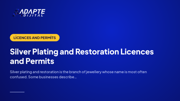Silver Plating and Restoration Licences and Permits — Adapte Dijital cover image