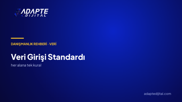 Veri girişi standardı nasıl kurulur?