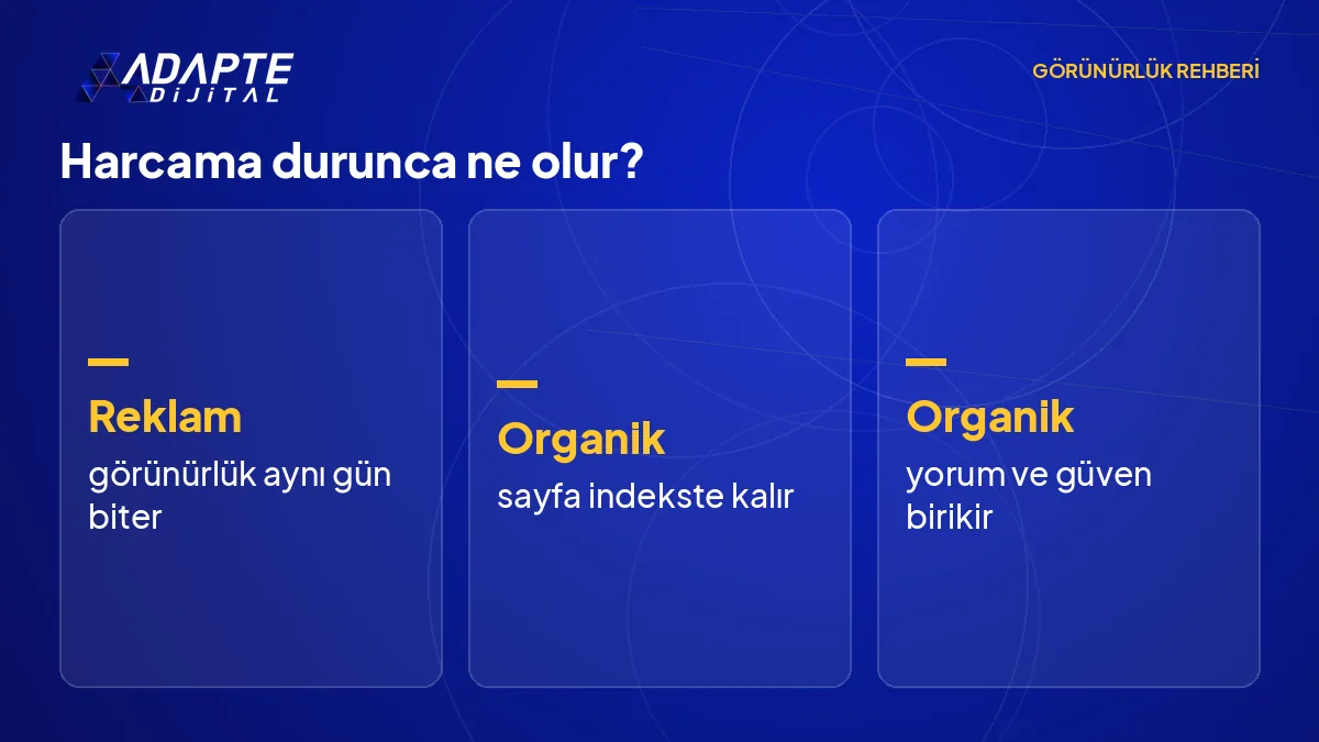 Bütçe durduğunda reklam görünürlüğünün sıfırlandığını, organik görünürlüğün devam ettiğini gösteren iki çizgi.