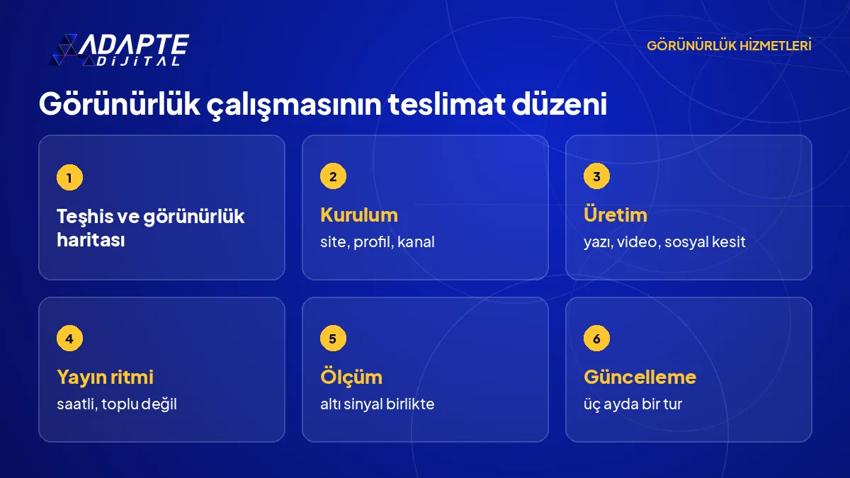 Görünürlük çalışmasının teşhisten güncellemeye uzanan altı aşamalı teslimat düzenini gösteren akış şeması