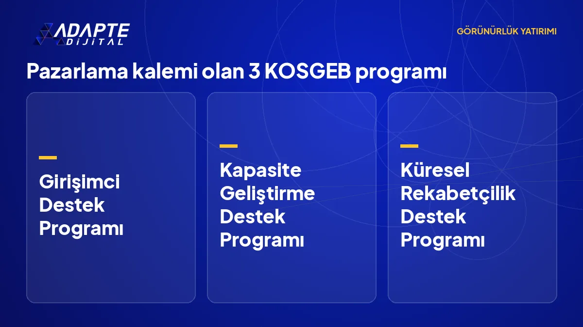 KOSGEB desteklerinde dijital görünürlüğe ayrılabilecek kalemin pazarlama hizmet alımı olarak yer aldığı üç program