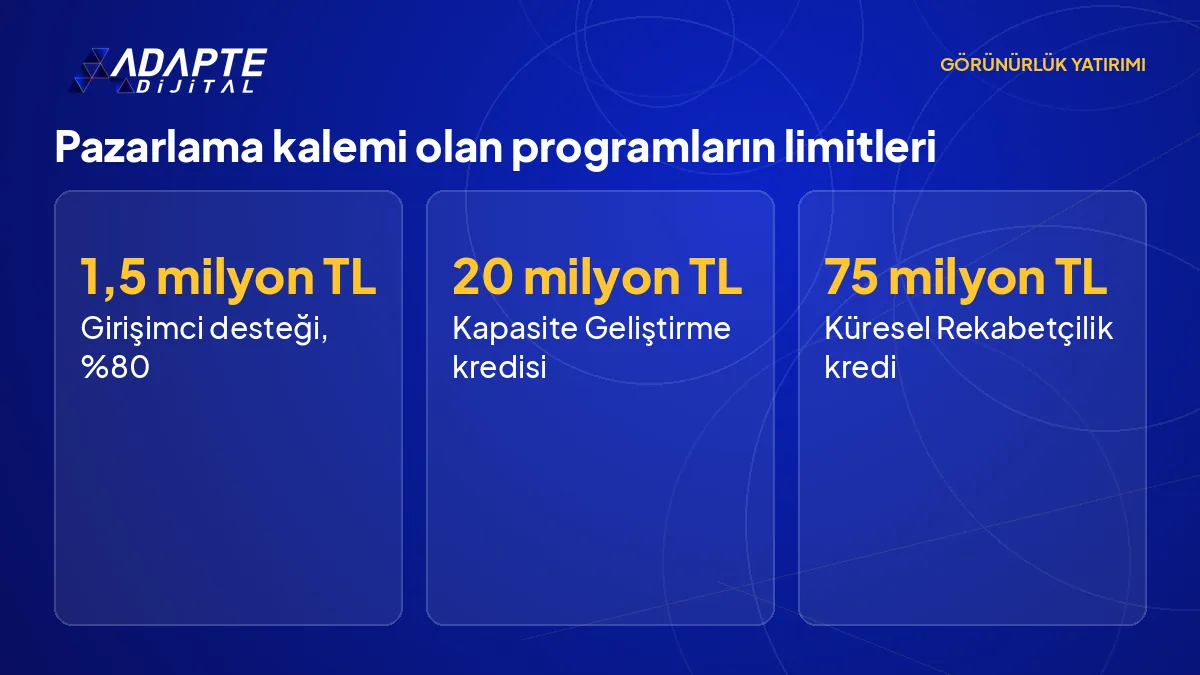 KOSGEB programlarında pazarlama kaleminin üst limitleri: 1,5 milyon TL, 20 milyon TL ve 75 milyon TL