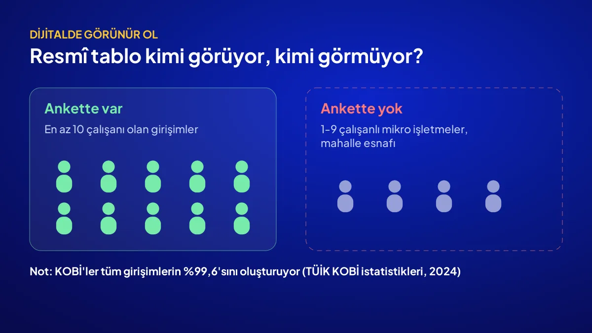 TÜİK bilişim araştırmasının kapsadığı 10 ve üzeri çalışanlı girişimler ile dışında kalan mikro işletmeler