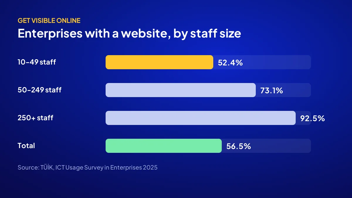 Website ownership among Turkish enterprises by number of employees, based on TÜİK 2025 data