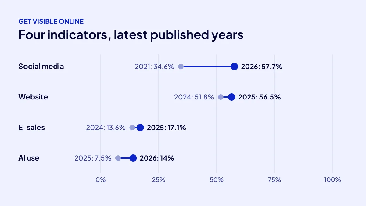 Change over the years in social media, website, e-sales and AI use among Turkish enterprises, from TÜİK data