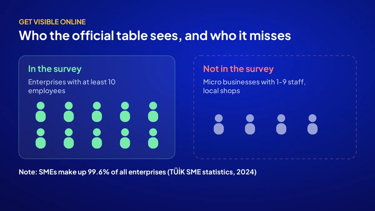 Enterprises with 10 or more staff covered by the TÜİK ICT survey versus micro businesses left outside