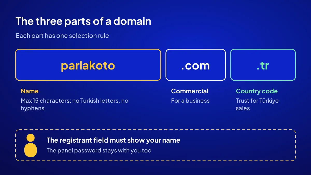 Parts of a business domain name: the name, the extension and the selection rule for each part