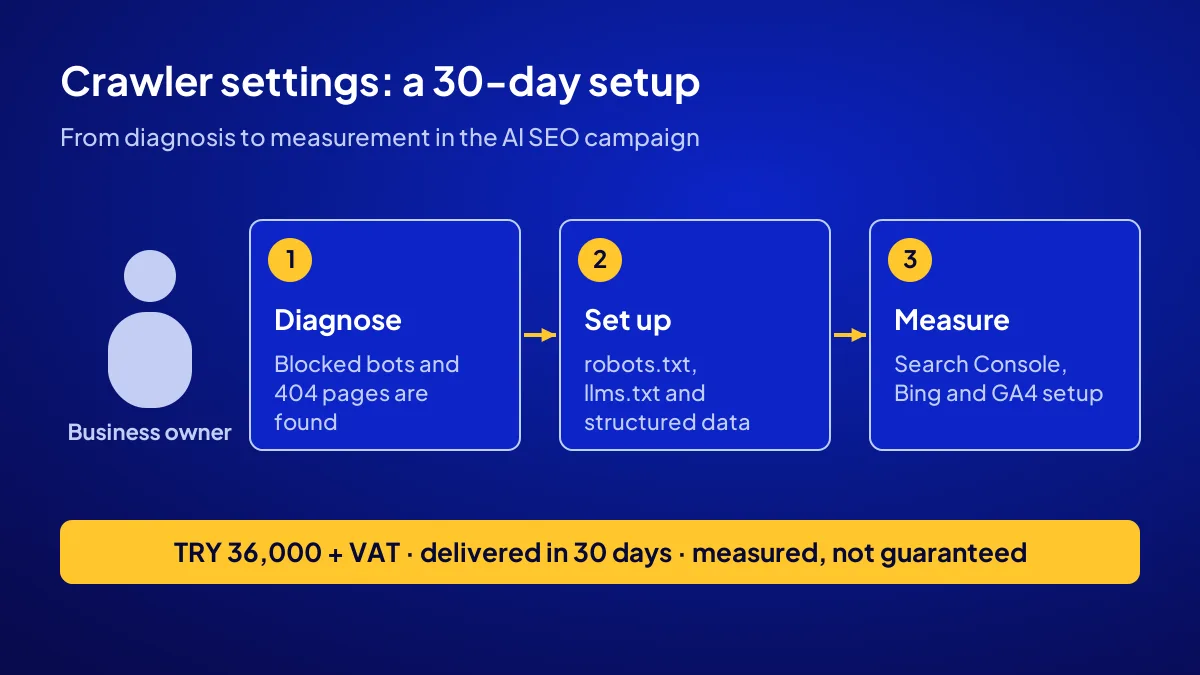 30-day crawler setup flow in the AI SEO campaign: diagnosis, settings and measurement