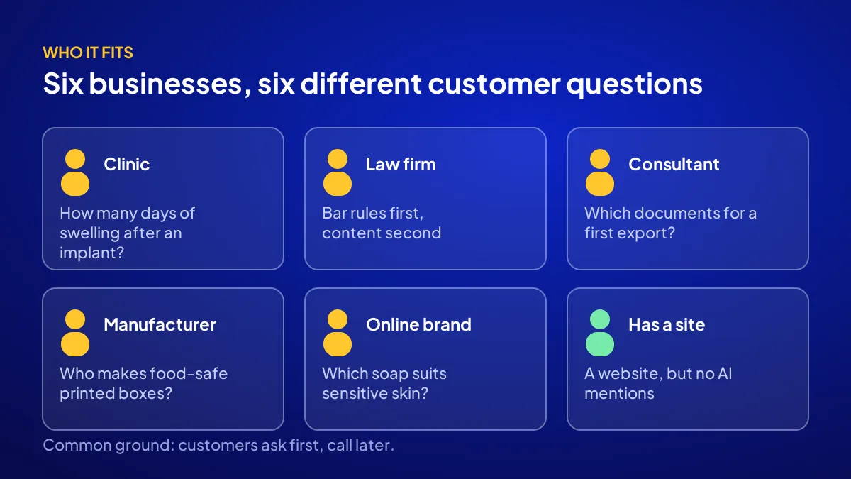 Who AI SEO is for: clinic, law firm, consultant, manufacturer, online store and existing website profiles