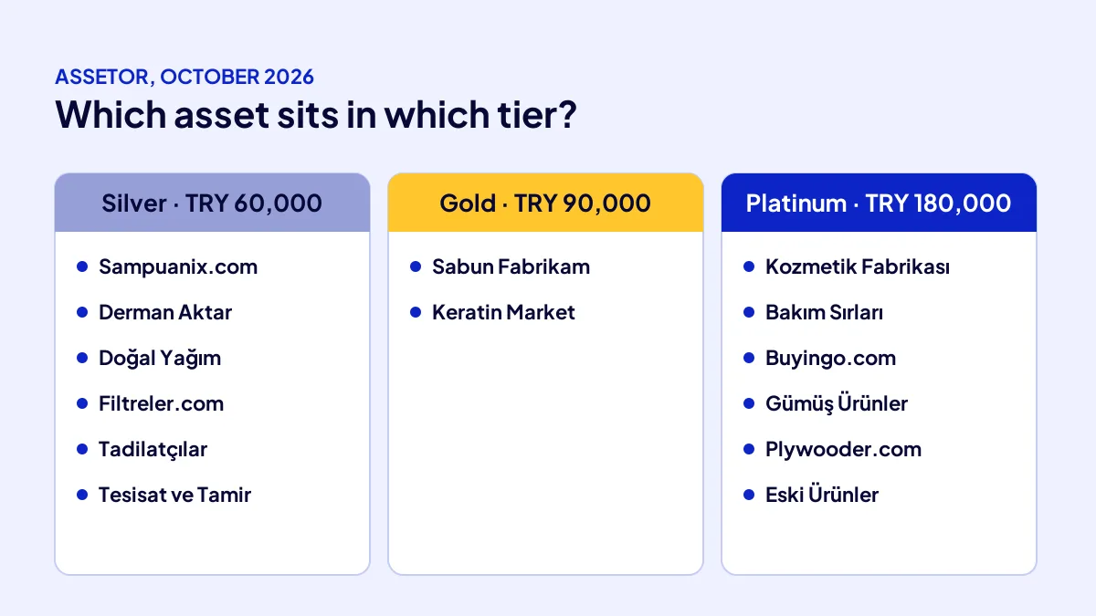 Tier map of e-commerce, manufacturing and service assets listed in ASSETOR digital asset tiers