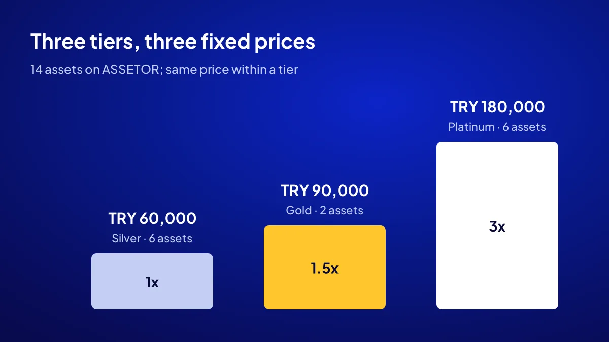 Ready-made website prices: Silver TRY 60,000, Gold TRY 90,000 and Platinum TRY 180,000 digital asset tiers