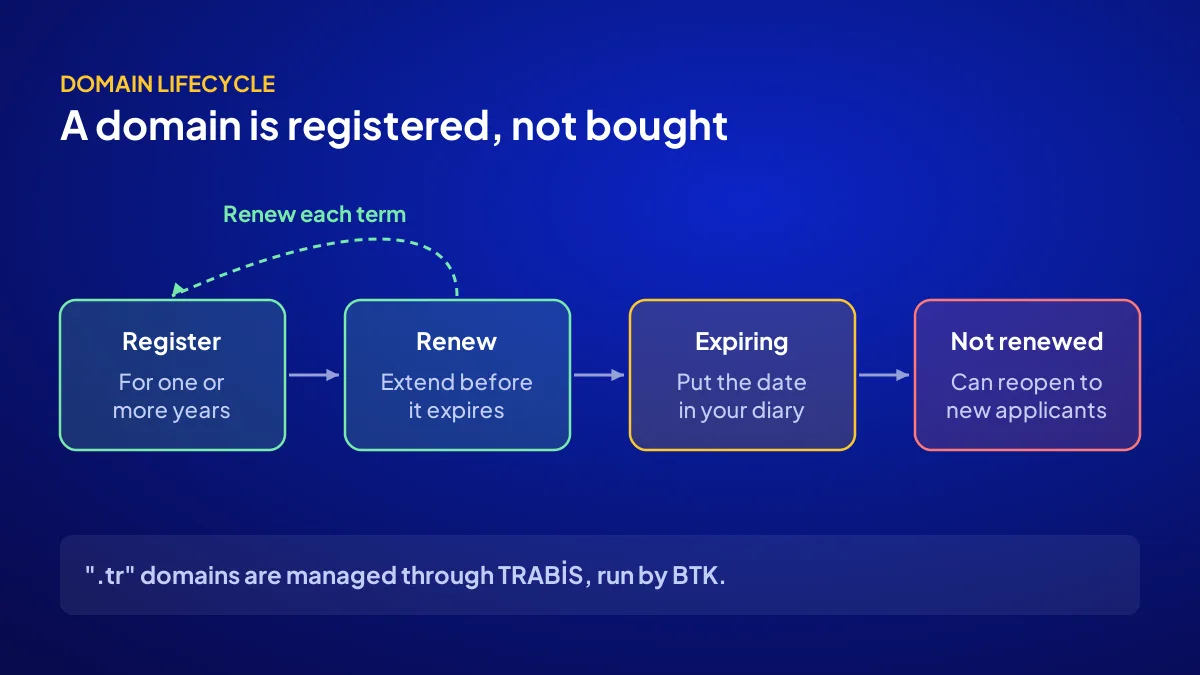 Domain lifecycle on a website for sale: registration, renewal and reopening for allocation