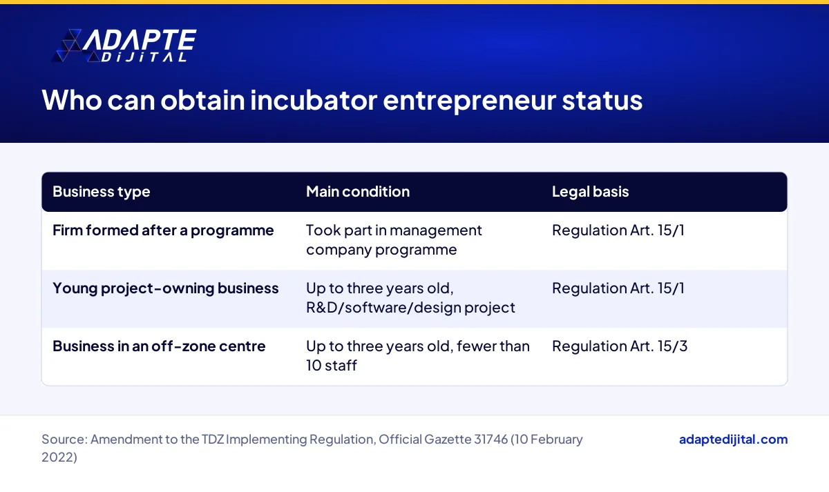Business types that can obtain incubator entrepreneur status in Türkiye and the main condition for each