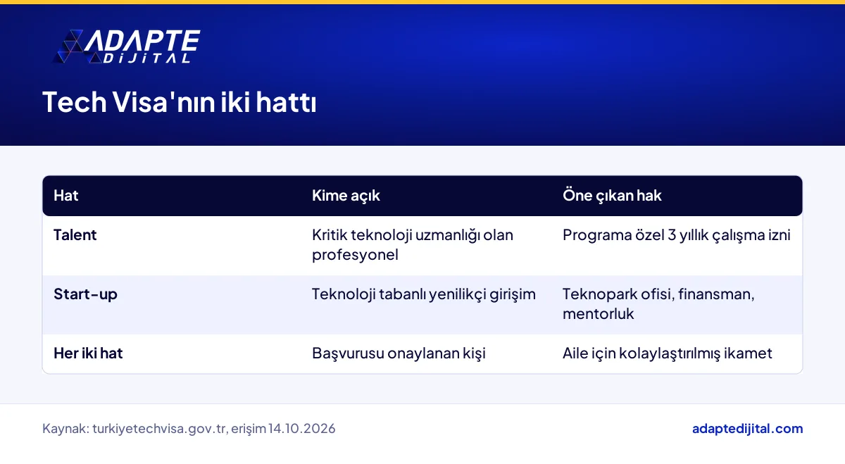 Tech Visa programındaki Talent ve Start-up hatlarının kime açık olduğunu ve sunduğu hakları gösteren tablo