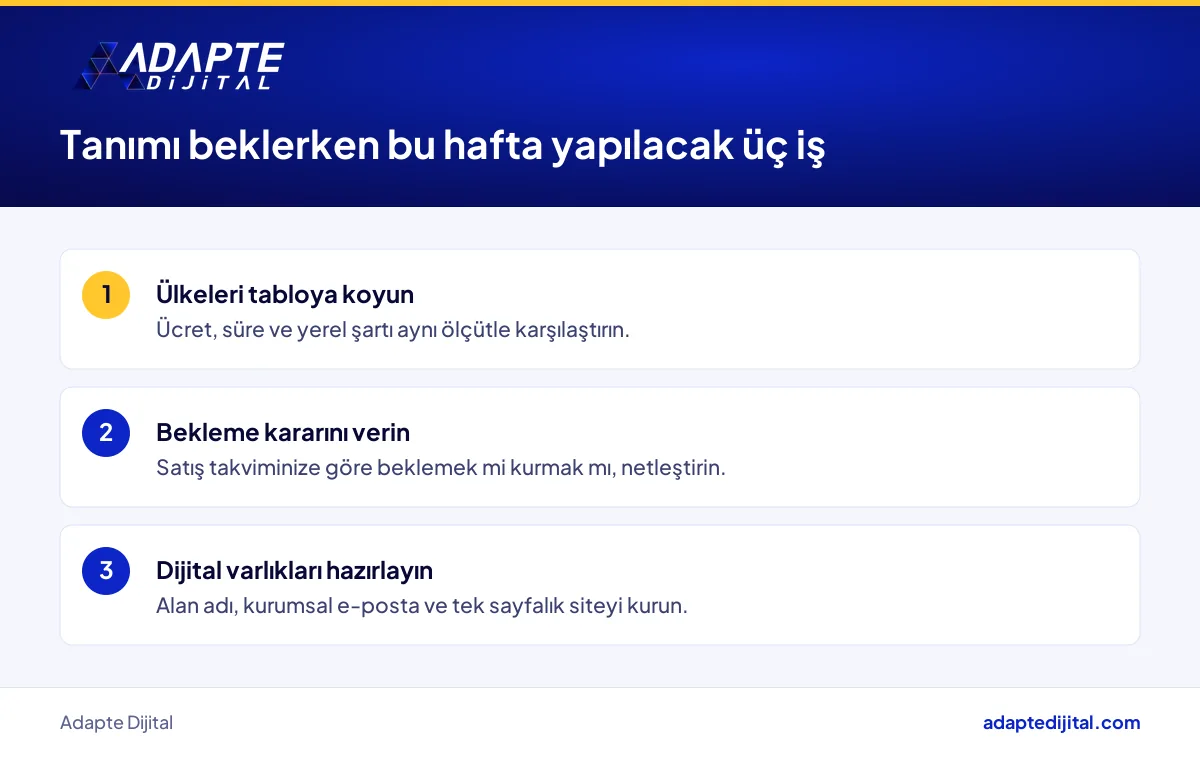 Dijital şirket tanımını bekleyen girişimcinin yurt dışı seçenekleri tartarken bu hafta yapacağı üç iş