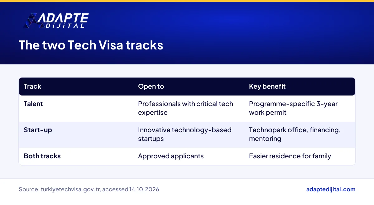 Table showing who the Tech Visa Talent and Start-up tracks are open to and the rights each one offers