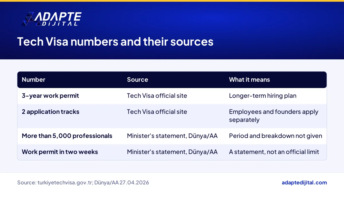Table of four Tech Visa numbers with their source and what each means for a business