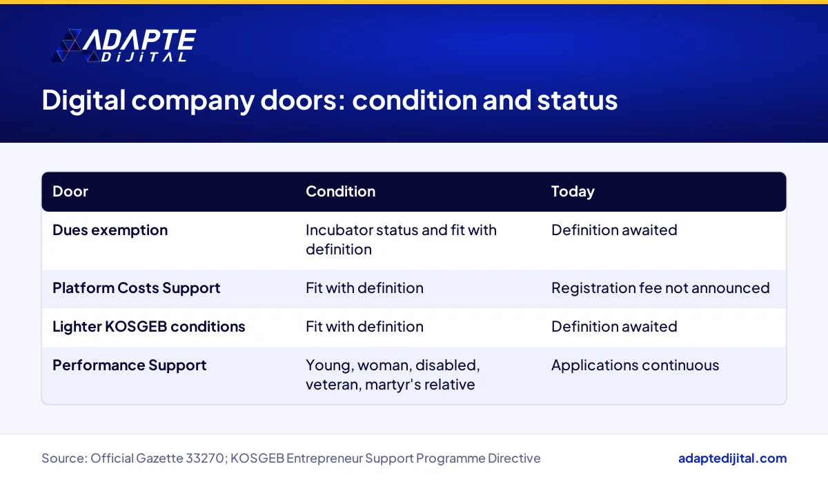 Table comparing the conditions and current status of each digital company exemption and support in Türkiye