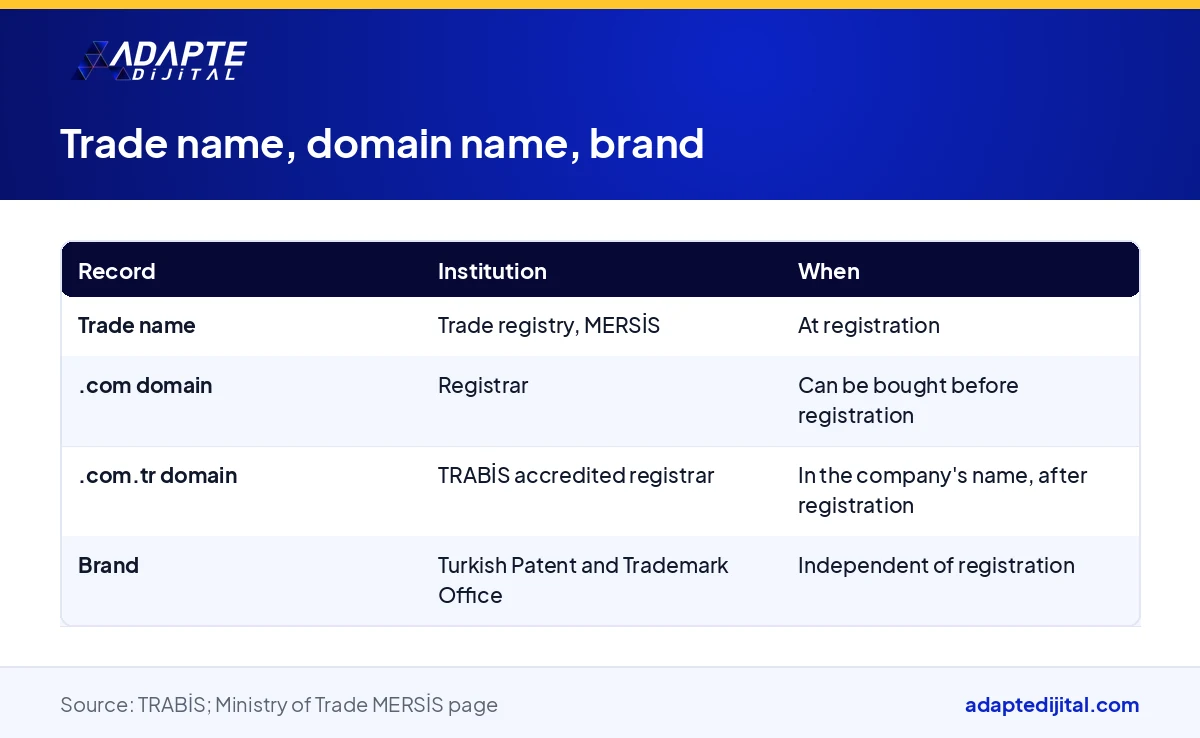 Table showing at which institution and when a digital company's trade name, domain name and brand records are made