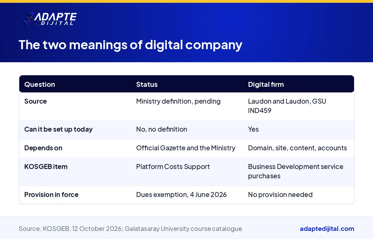 Table comparing the status and digital firm meanings of digital company by source, setup today and KOSGEB support item
