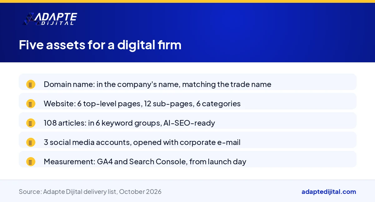 List of the domain name, website, 108 articles, accounts and measurement assets a company running its business online needs