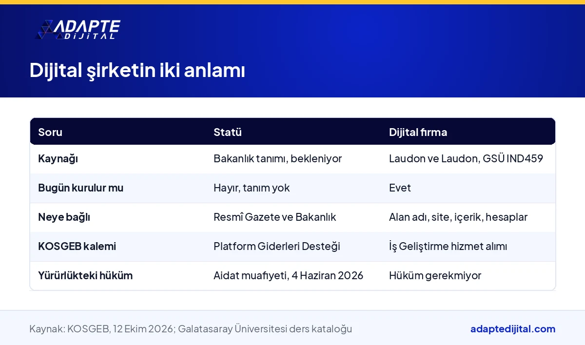 Dijital şirketin statü ve dijital firma anlamlarını kaynak, kuruluş ve KOSGEB kalemi açısından karşılaştıran tablo