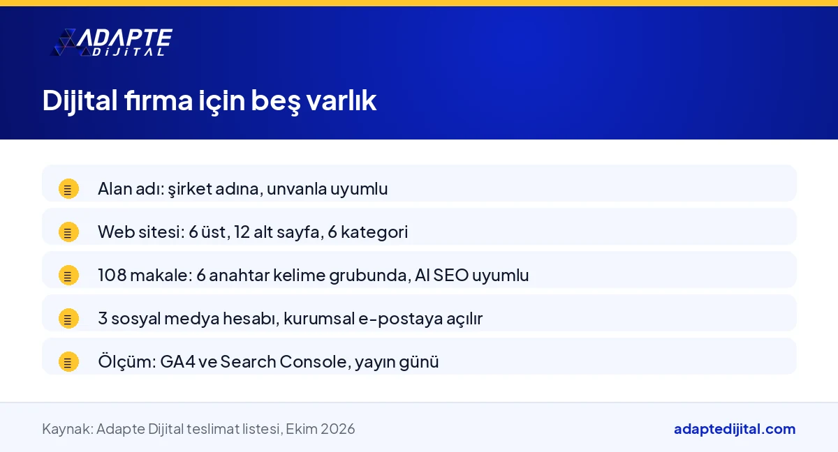 İşini dijitalde yürüten şirket için gereken alan adı, web sitesi, 108 makale, hesaplar ve ölçüm varlıklarının listesi