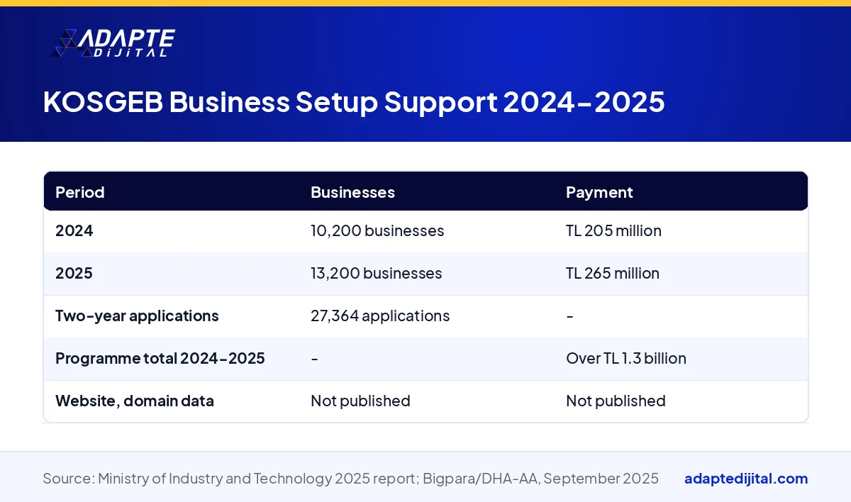 Table showing the number of businesses and payment amounts of KOSGEB Business Setup Support in 2024 and 2025