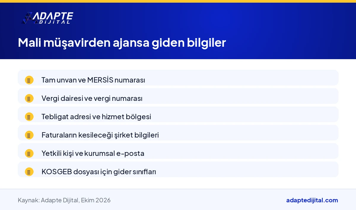 Mali müşavirden ajansa aktarılması gereken unvan, vergi, adres ve fatura bilgilerini sıralayan liste