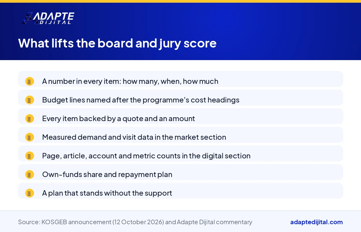 List of the measurable targets, budget and digital plan elements the KOSGEB sector board and jury score in a business plan
