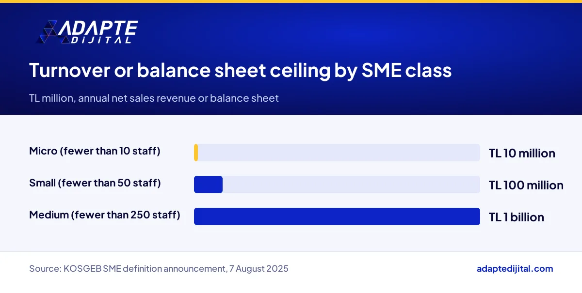Net sales revenue or balance sheet thresholds for micro, small and medium businesses in the SME definition