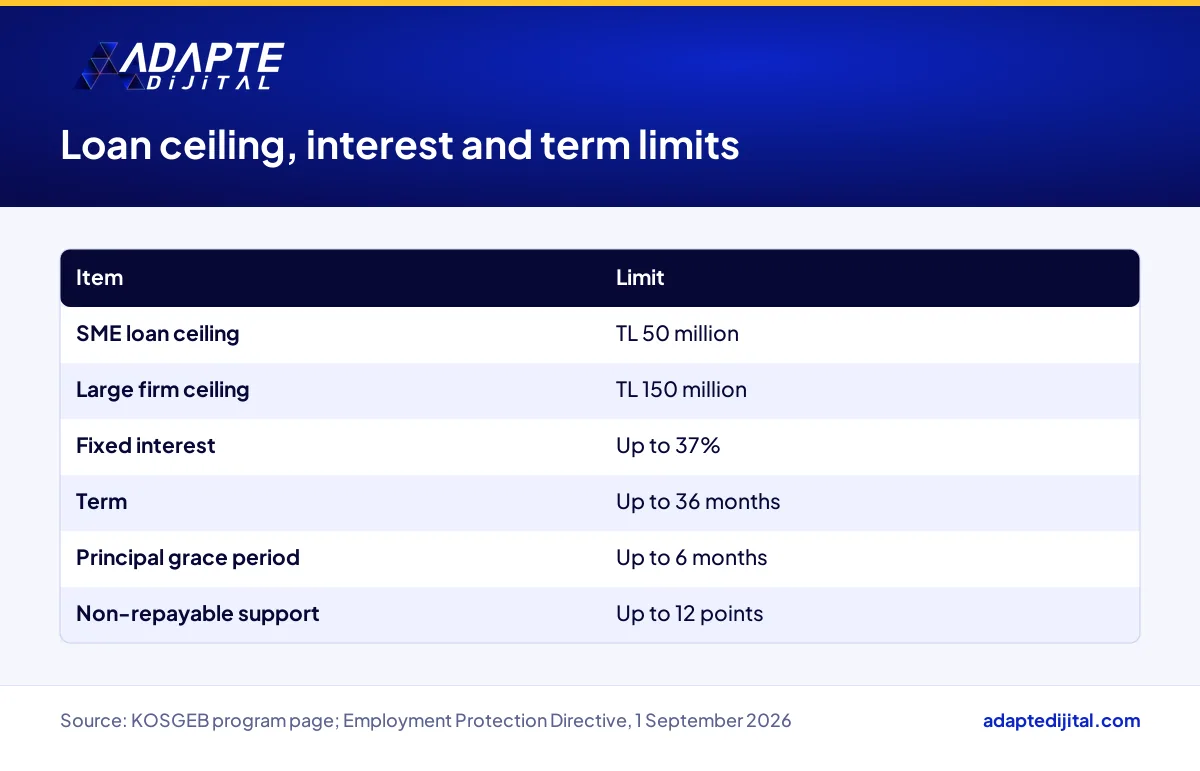 Employment Protection loan ceilings for SMEs and large firms with interest and term limits