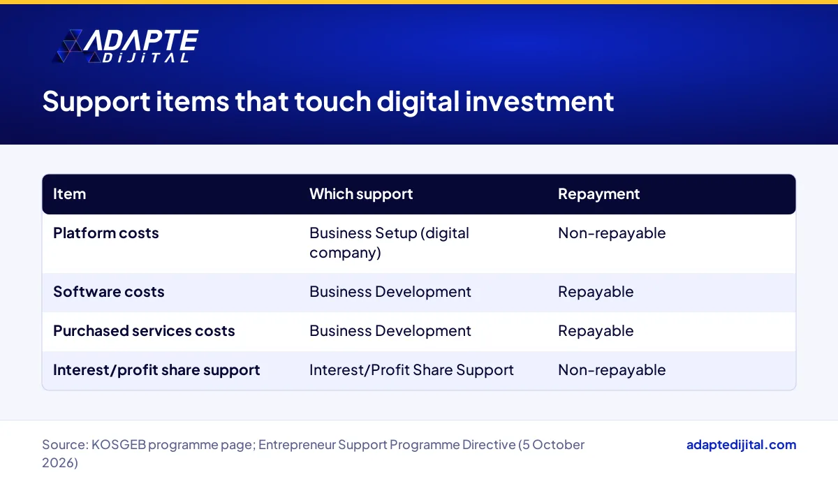Table of Entrepreneur Support Programme cost items that touch digital investment and whether each is repayable