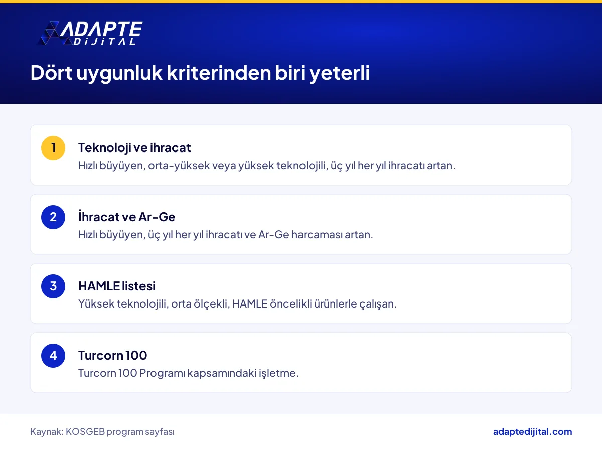 Küresel Rekabetçilik Programına başvuru için sağlanması gereken dört uygunluk kriteri listesi