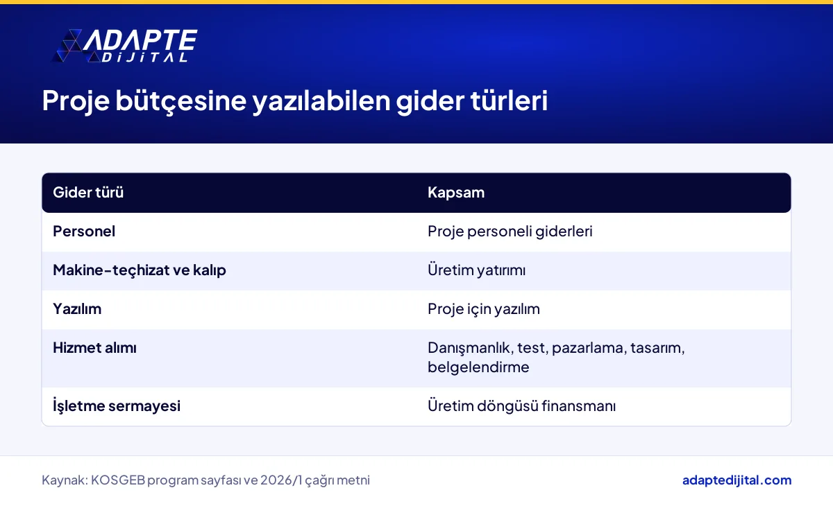 Küresel Rekabetçilik Programının beş gider türü ve hizmet alımı kalemleri tablosu