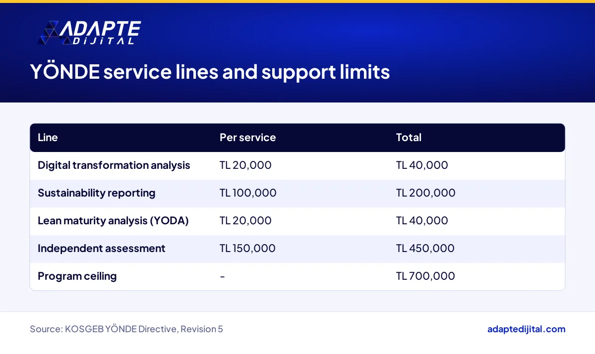 The four KOSGEB YÖNDE service lines with per-service and total support limits for each line