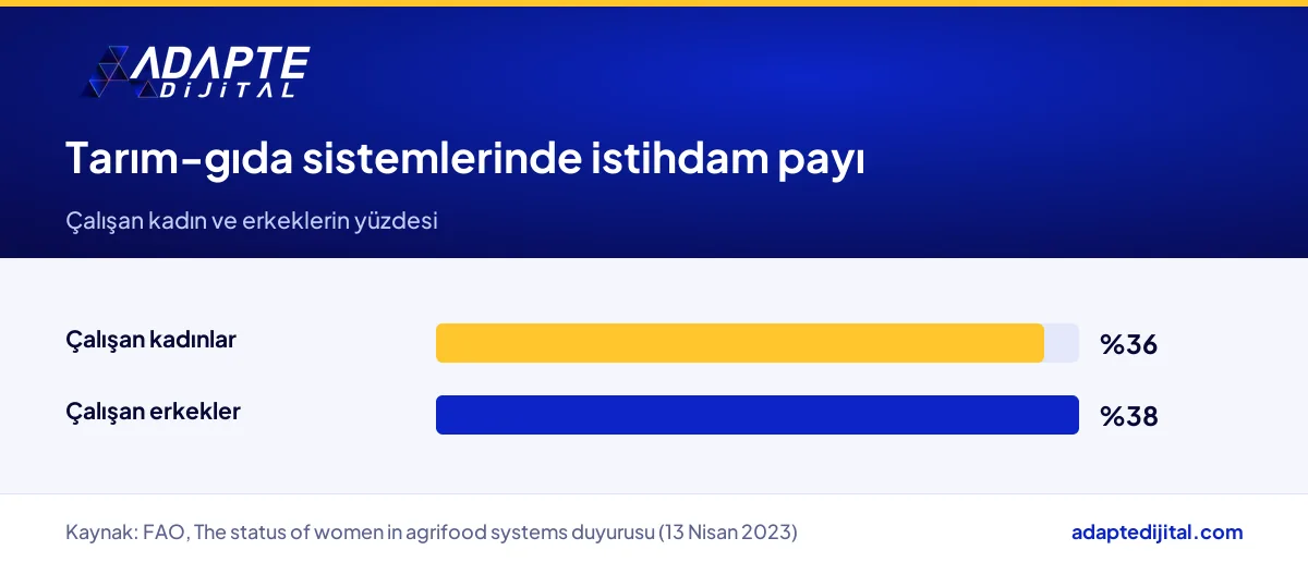 FAO 2023 raporuna göre tarım-gıda sistemlerinde çalışan kadın ve erkek oranları