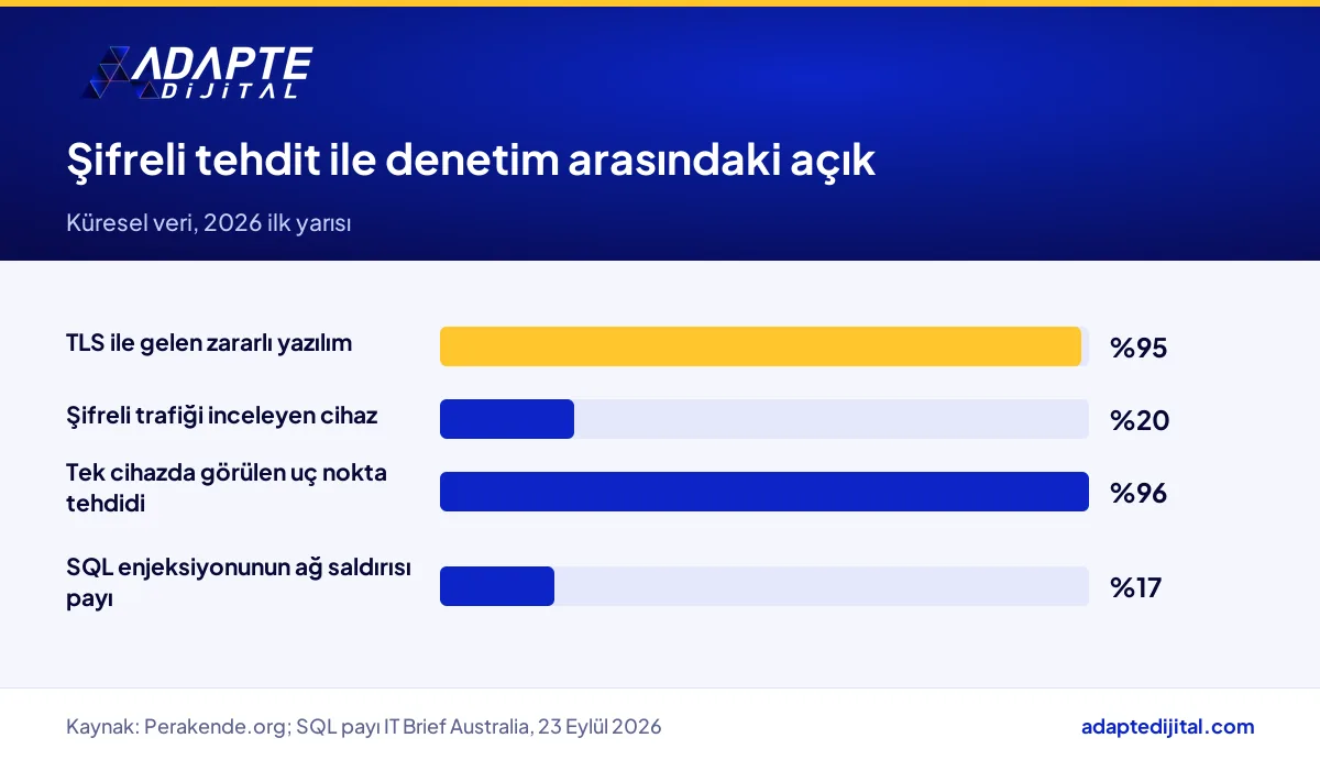 Zararlı yazılımın yüzde 95'inin TLS ile geldiğini ve cihazların yüzde 20'sinin bunu incelediğini gösteren çubuk grafik