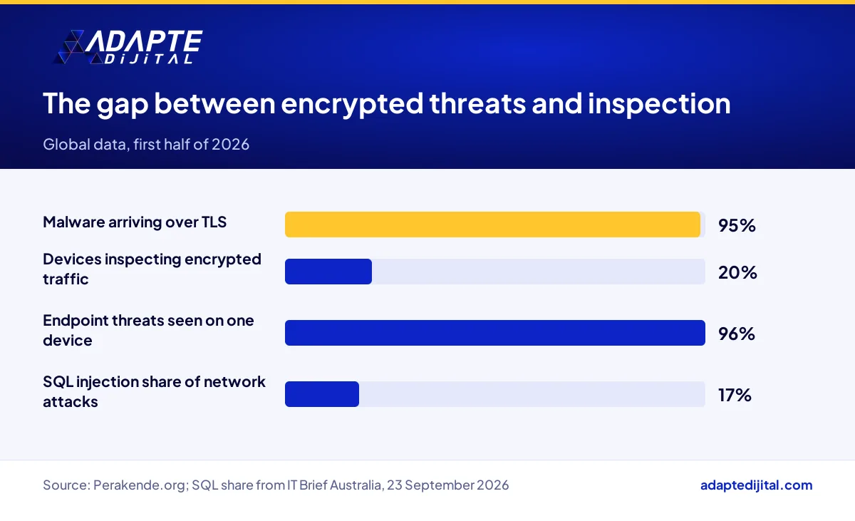 Bar chart showing 95% of malware arrives over TLS while only 20% of devices inspect encrypted traffic