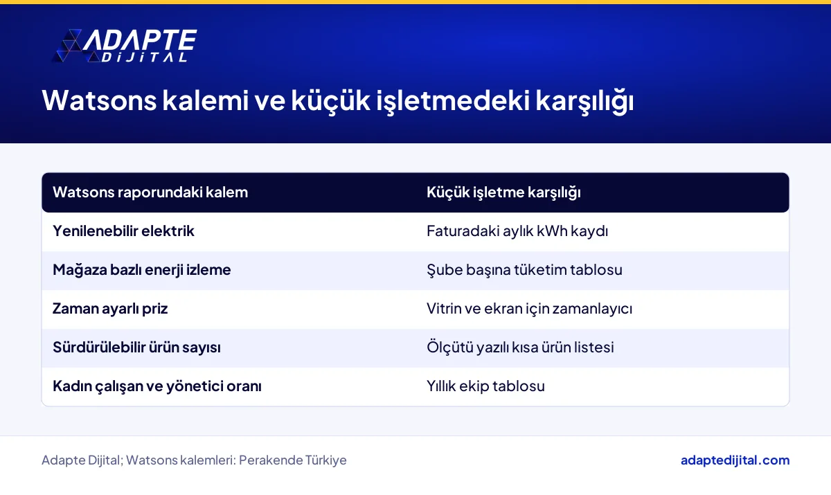 Watsons raporundaki kalemlerin küçük bir perakende işletmesindeki karşılıklarını gösteren tablo