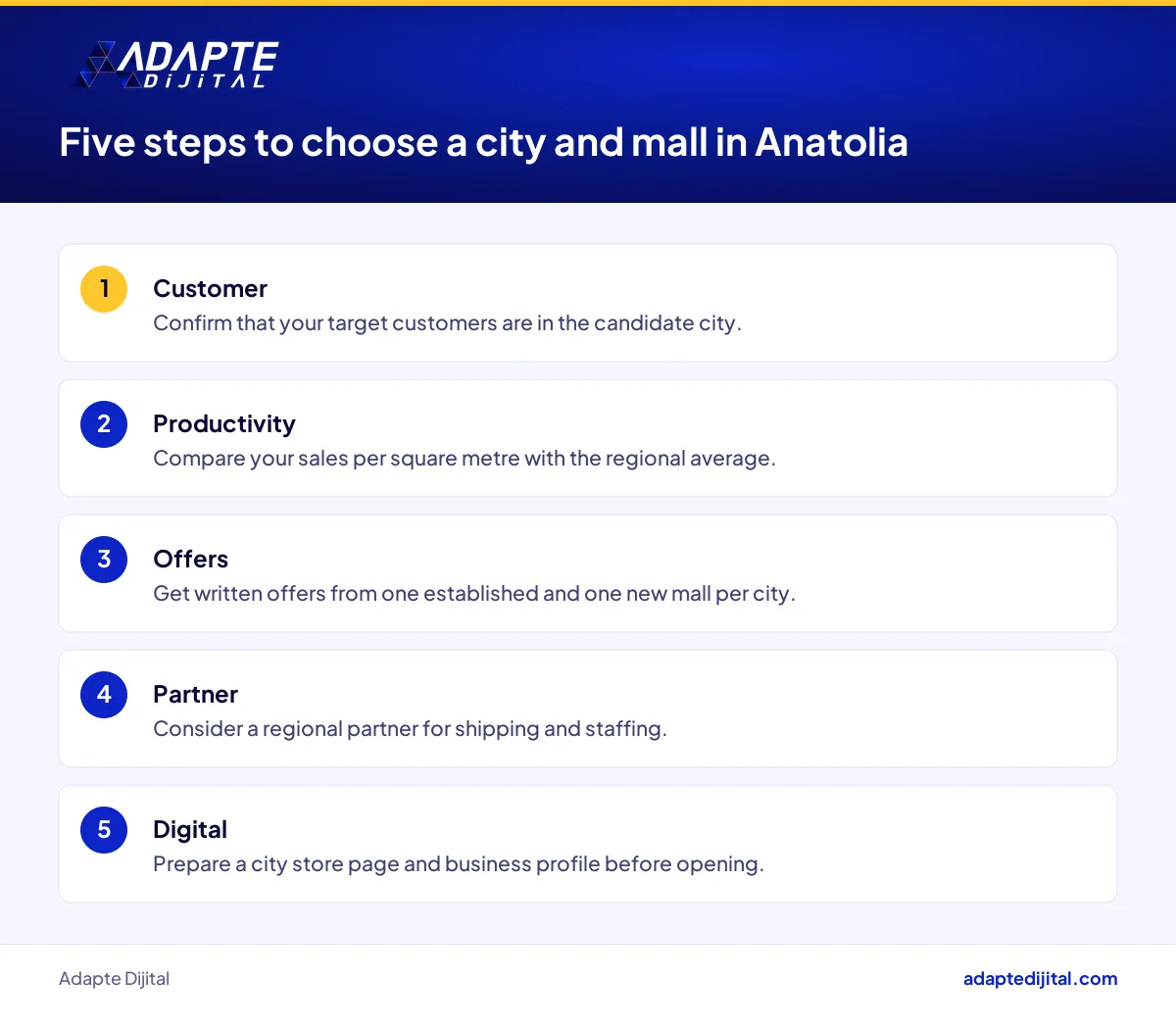 Location decision steps a retailer should prepare when choosing a city and mall in Anatolia