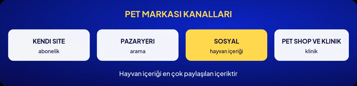 Sektörel marka danışmanlığı: pet markası kanalları
